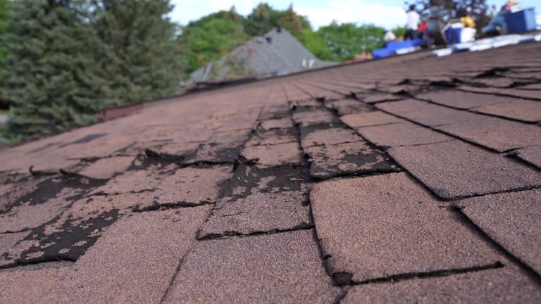 Best Roof Insulation Installation  in , MS